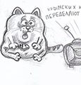 Крымских котов переделают в собак 10 марта 2014 