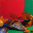 RGB или натюрморт из листьев