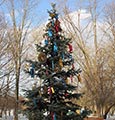 Наряженная елка в парке 3 января 2017